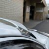 IMG-20250923-WA0043-600x450 Toyota Hilux N70 Solid Windscreen Sun visors
