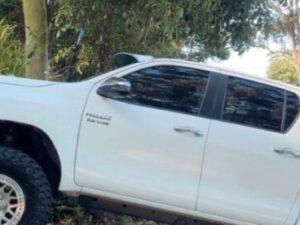 N80 Hilux Sun visor