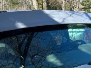 Chevrolet LCF 4500 Mesh Windscreen Sunvisor (2016 - 2022) Chevrolet Silverado 4500 HD Mesh Windscreen Sunvisor (2019 - 2022)